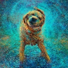 Роман Иванов, Санкт-Петербург