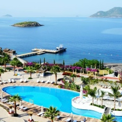 Надежда Киримлиди, Москва