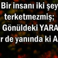 Атлаз Аскерова, 24.02.1995