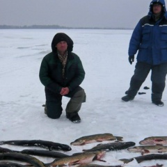 Семён Воронов, Иркутск