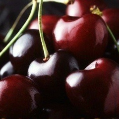 Ольга Вишневская, 01.04