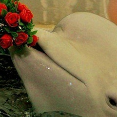 Олеся Иллензеер, 08.07.1982, Караганда