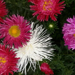 Зухра Есмаганбетова, 08.03.1987, Степногорск