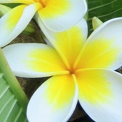 Светлана Марченко, 25.02.1979, Харьков