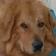 Галина Нагирняк, 28.03.1969, Санкт-Петербург