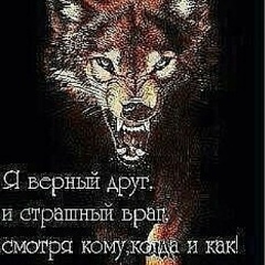 Бавди Магомадов