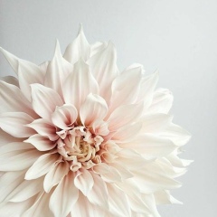 Айбану Уатбаева, 23.06, Алматы