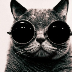 Рома Лугин, 30.03, Новосибирск