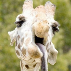 Толик Прокопчук, 10.03, Ровно