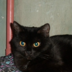 Pavel Elufimov, 18.02, Зеленодольск