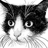 Светлана Плешкова (Костина), 18.04.1966, Комсомольск-на-Амуре