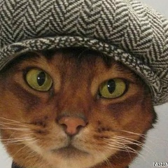 Silvestr Stalone, 06.07.1946, New York City