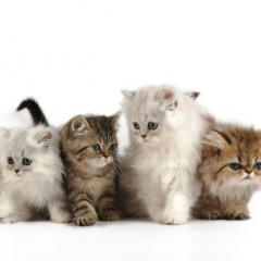 Алла Рец, 14.08.1972, Челябинск