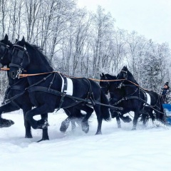 Антон Кассиров, 28.01