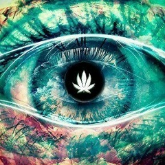 Антон Иванов, 09.11, Камышин