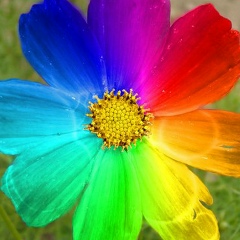 Ирина Исаева, 28.02.1989, Москва