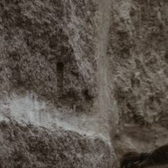 Дмитрий Усов, 07.04.1992, Москва