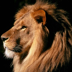 Даитбек Асильдеров, 08.08.1967, Бабаюрт