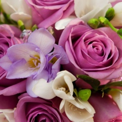 Сергей Ким, 09.05.1981, Тараз