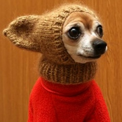 Владислав Скиба, 28.02, Краснодар