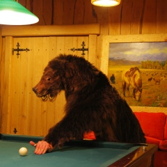 Константин Балашов, 14.08.1975, Москва