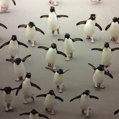 Марина Оздоба, 16.04.1988, Heiligenhaus