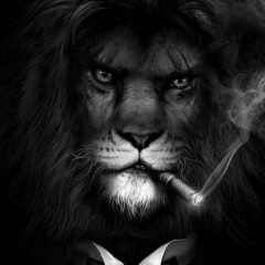 Александр Крылов, 07.08.1984, Павлодар