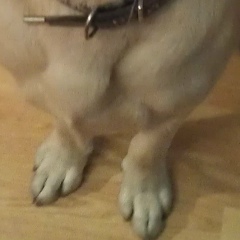 Ильяс Жандосов, 04.01, Алматы