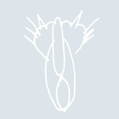 Александр Меркушев, 01.04.1901, Пермь