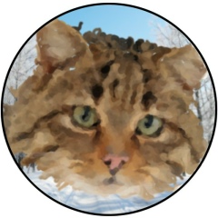 Станислав Зверев, 10.06