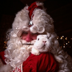 Евгений Гитис, 23.08.1982, Москва