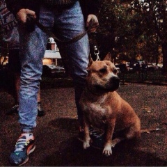 Андрей Дрёмин, 21.08.1997, Оренбург