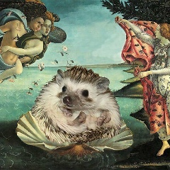 Лев Павлов, 14.08