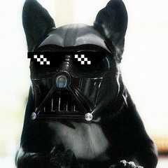 Баир Батуев, 25.06.1989, Москва