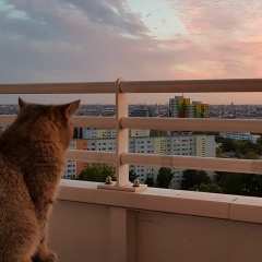 Stoll Andreas, 12.07.1992, Berlin