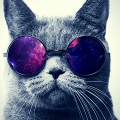 Константин Цой, 17.04, Sinch'ang