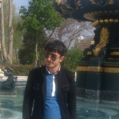 Фахри Талибов, 20.04, Баку