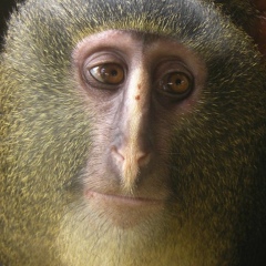 Григорий Гущин, 23.03.1990, Ярославль