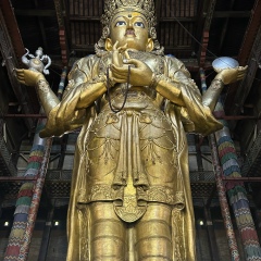 Stitch Stitch, 12.09