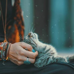 Оленька , 13.06, Сыктывкар