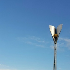 Альберт Ростовский, 19.02.1991, Ростов-на-Дону