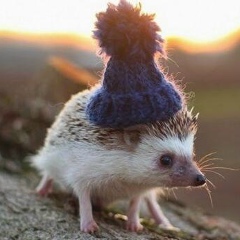 Алексей Ежиков, 02.11.1990, Санкт-Петербург