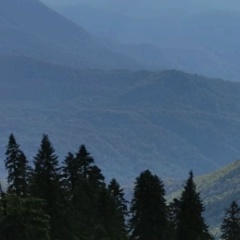 Оксана Юрченко, 07.01