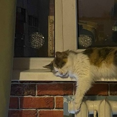 Lena Titova, 29.04, Выборг