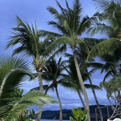 Слава Боричевский, 31.05.1984, Воронеж