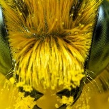 Николай Мусиенко, 16.12.1901, Киев