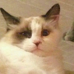 Андрей Репкин, 05.05, Ростов-на-Дону