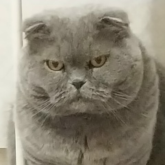 Мария Добында, 03.04, Великий Новгород