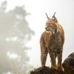 Павел Иванов, 30.06