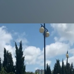 Александр Жуков